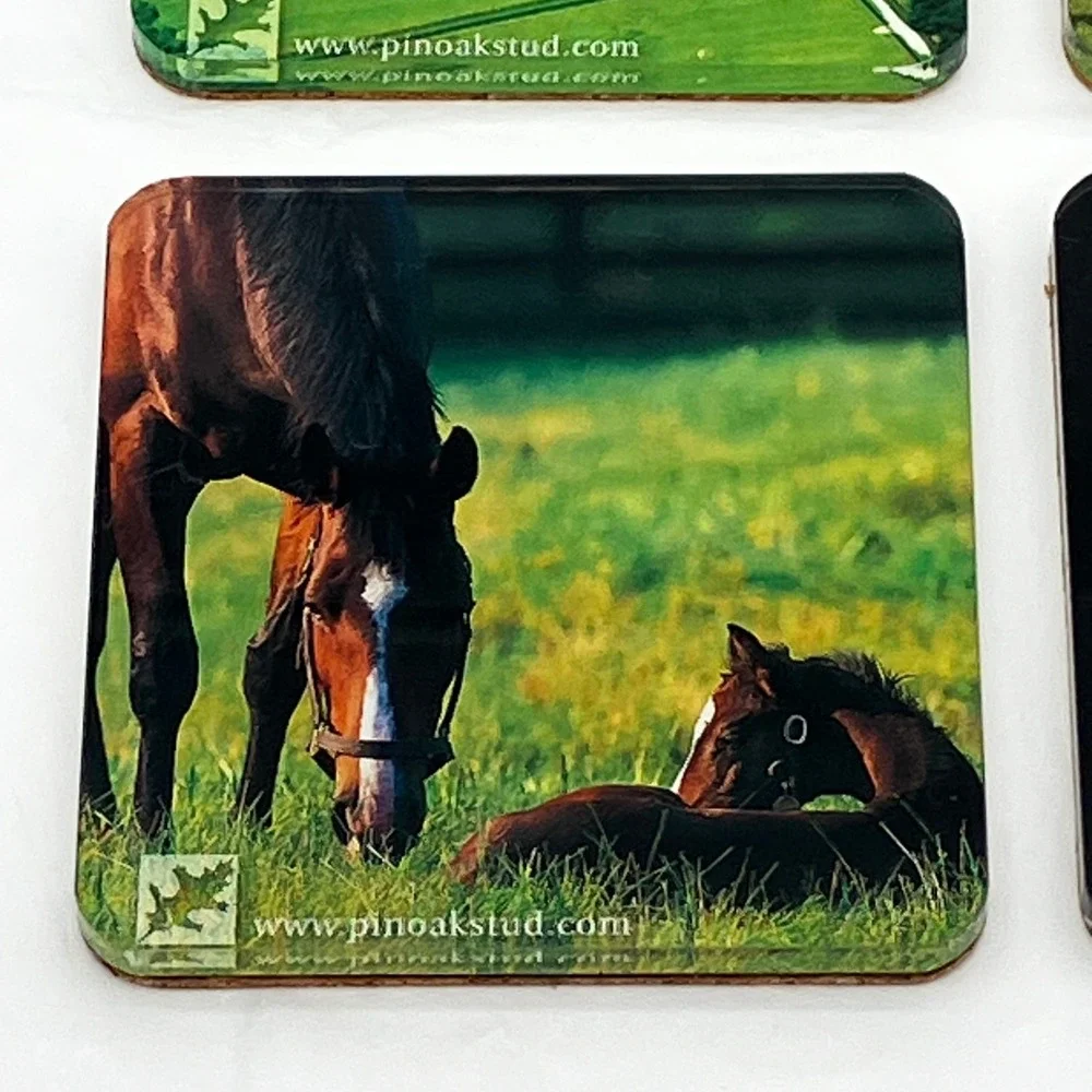 Pin Oak Stud Coaster Set of 4 Multicolor Horse Equestrian Photography Acrylic